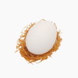 鶏卵（全卵、生）